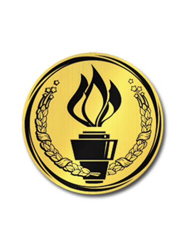 Вкладыш в медаль/ приз/ кубок - VK381/382-40